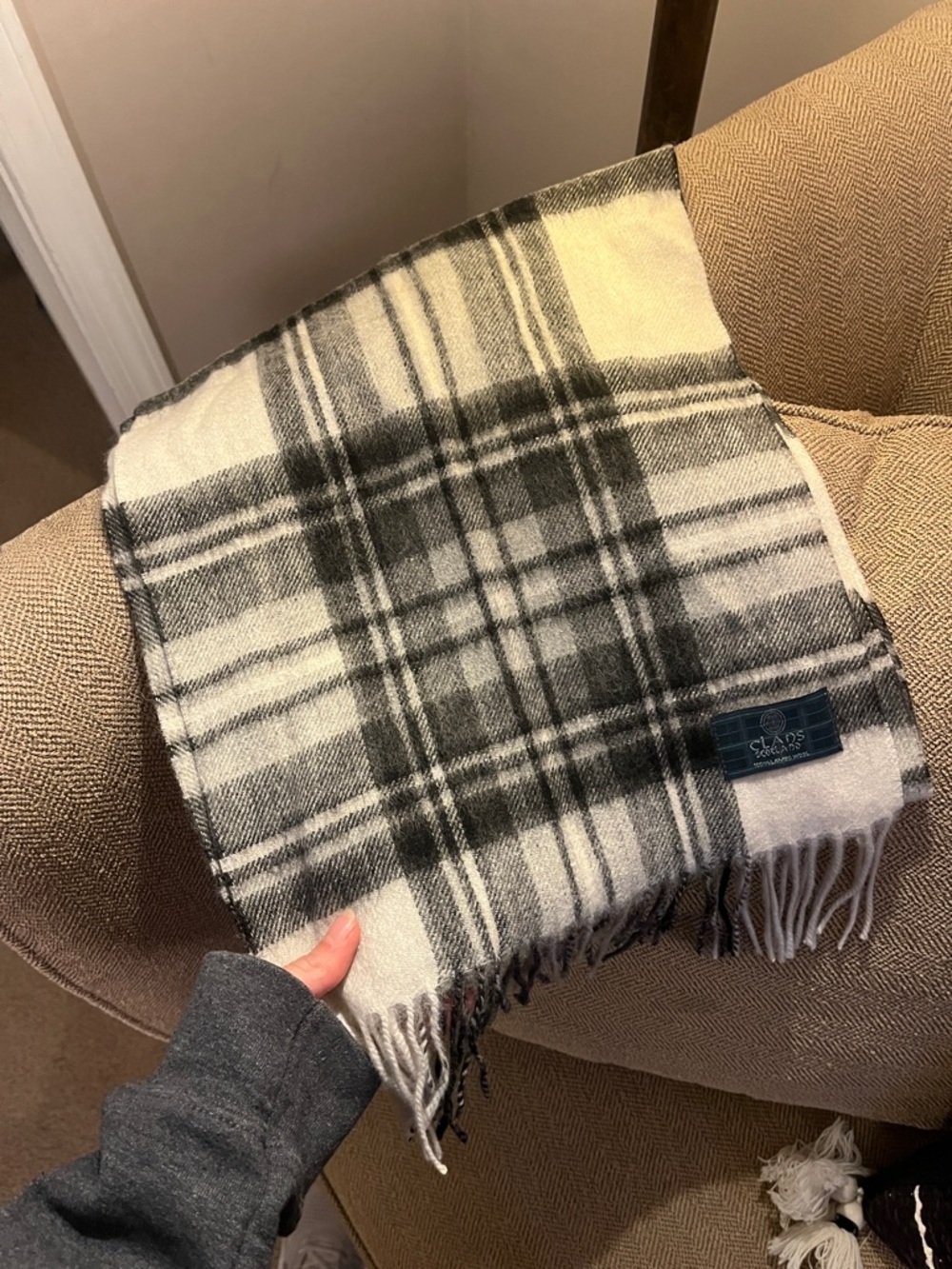 Plaid Black & Cream Fringe Scarf